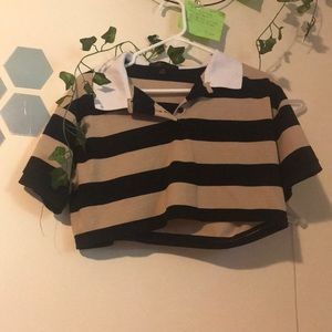 Faded Rose striped crop top